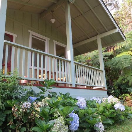 Carson'S Kaloko Mountain Cabin Kailua-Kona Ngoại thất bức ảnh