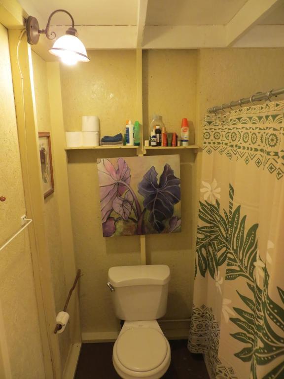 Carson'S Kaloko Mountain Cabin Kailua-Kona Ngoại thất bức ảnh