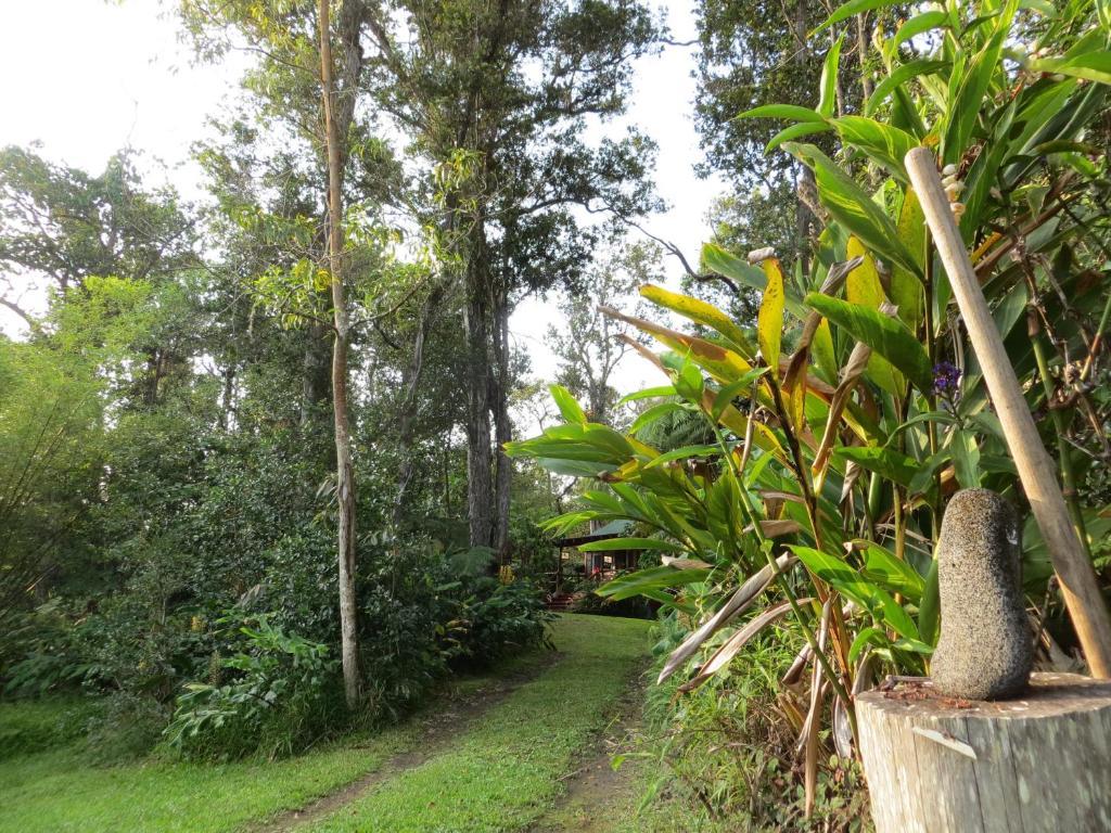 Carson'S Kaloko Mountain Cabin Kailua-Kona Ngoại thất bức ảnh